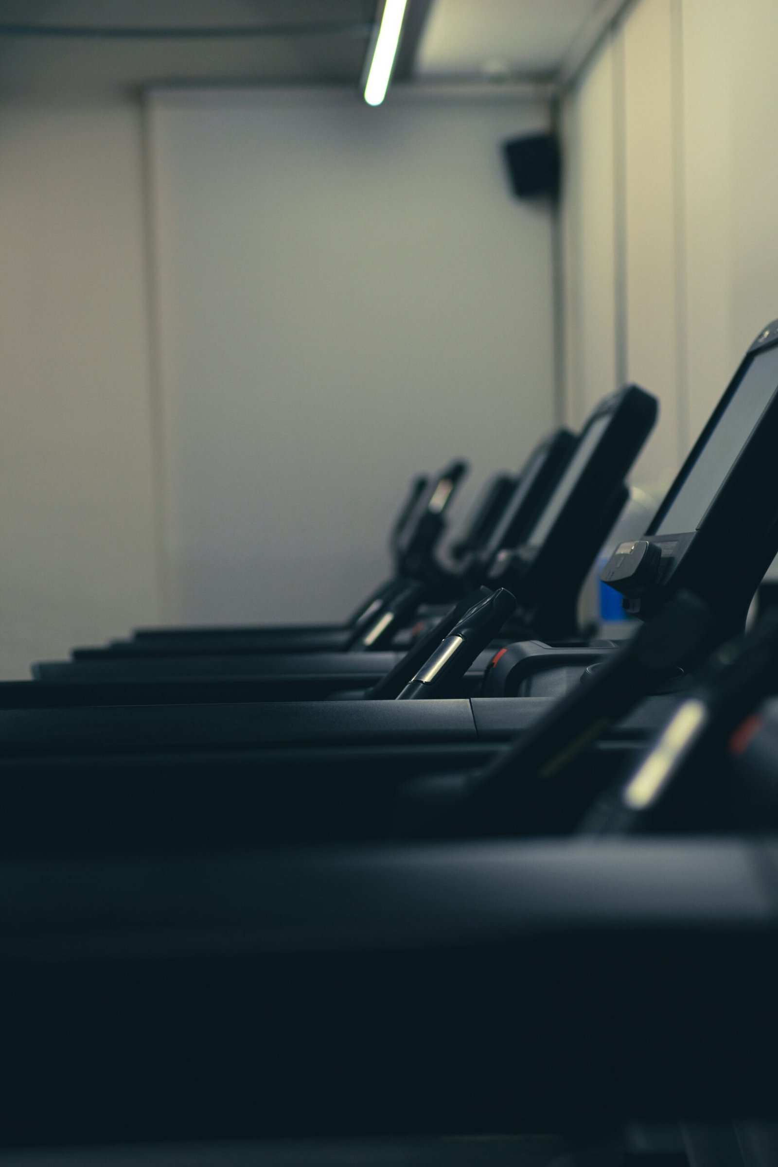 a row of treadmills in a gym